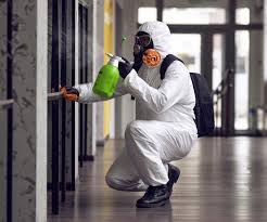 Forensic Mold Investigation in Almedia, PA